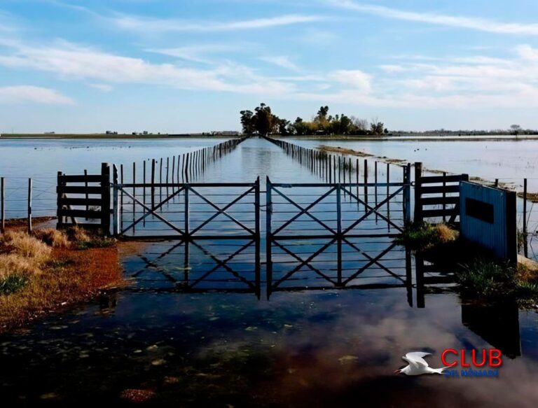 Las Inundaciones como Arma Política